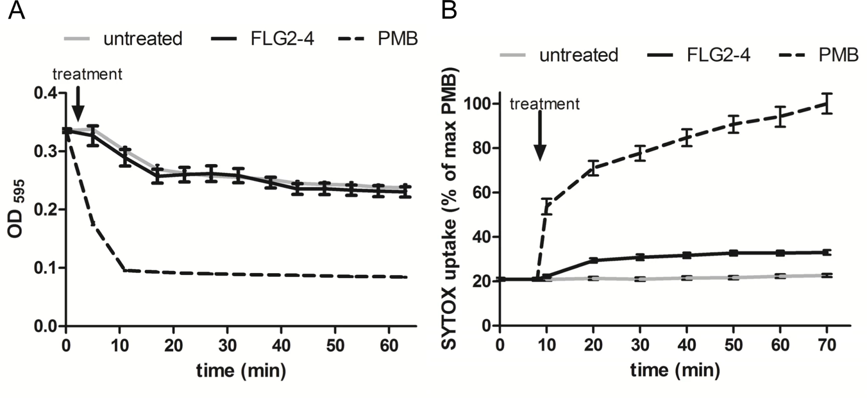 FLG2-4 does not permeabilize the bacterial membrane.