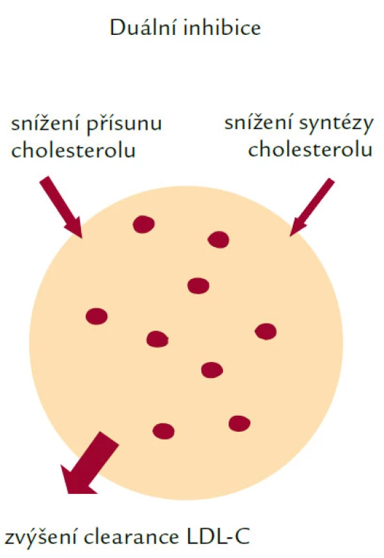 Mechanizmus účinku ezetimibu.