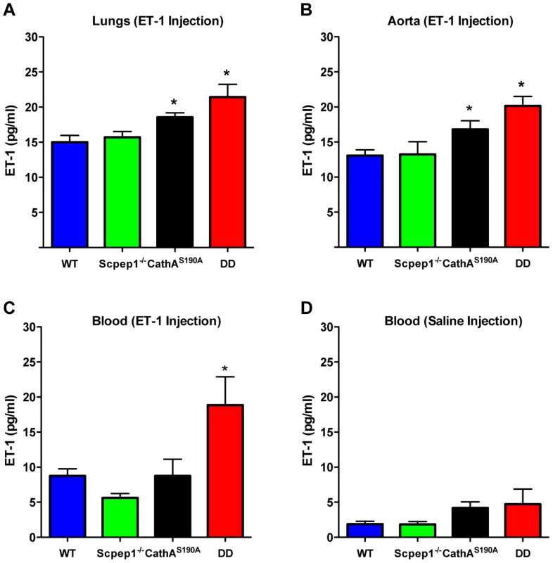 Mice with combined CathA/Scpep1 deficiency have reduced ET-1 degradation rate.
