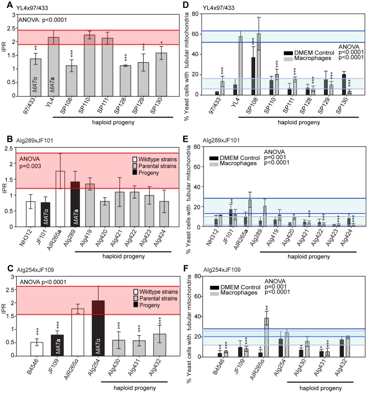 Macrophage interaction of progeny from marked outgroup crosses YL4 x 97/433, AIg189 x JF101 and AIg254 x JF109.