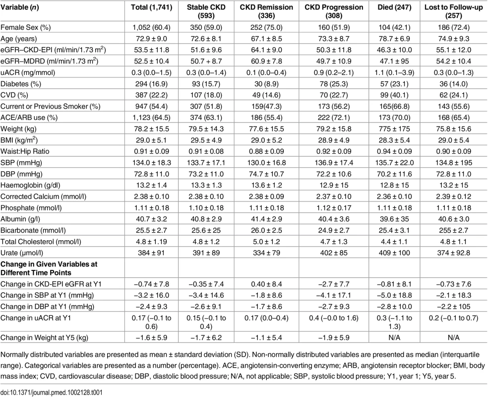 Basic cohort descriptive statistics and breakdown by year 5 outcome.