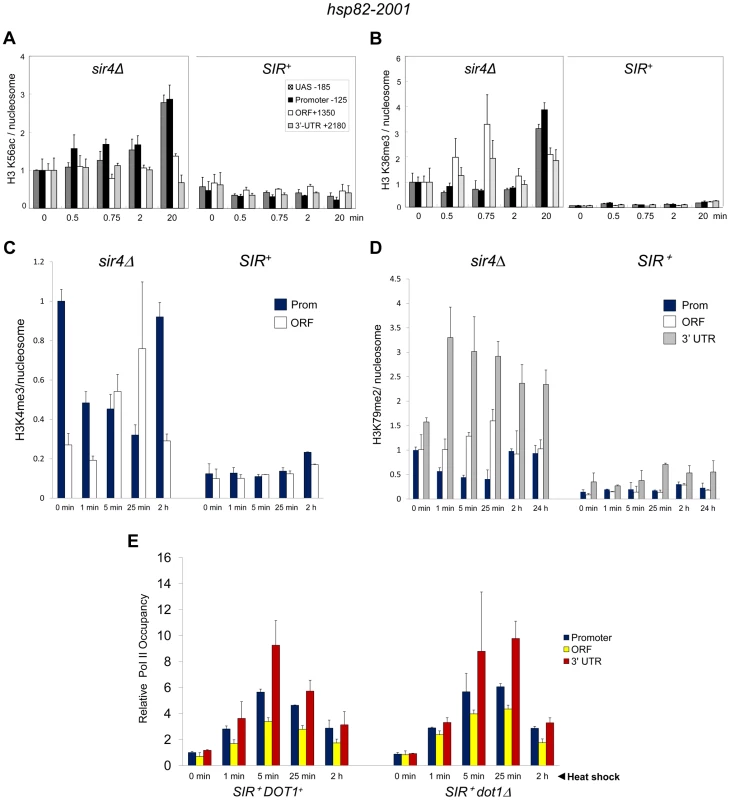 Heterochromatic gene activation occurs in the context of minimal transcription-linked H3 methylation and is unimpaired by ablation of Dot1.