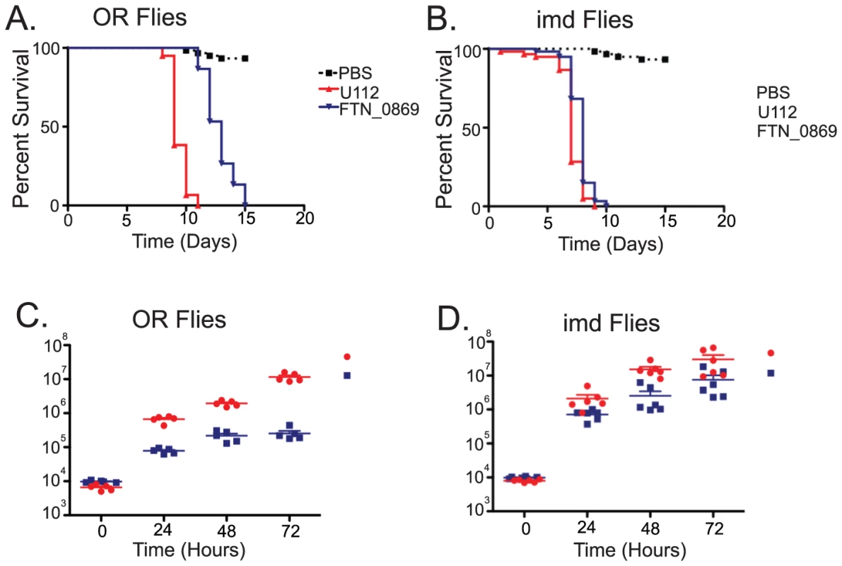 <i>F. novicida</i> deletion mutants of a putative transglutaminase are severely attenuated in virulence and growth.