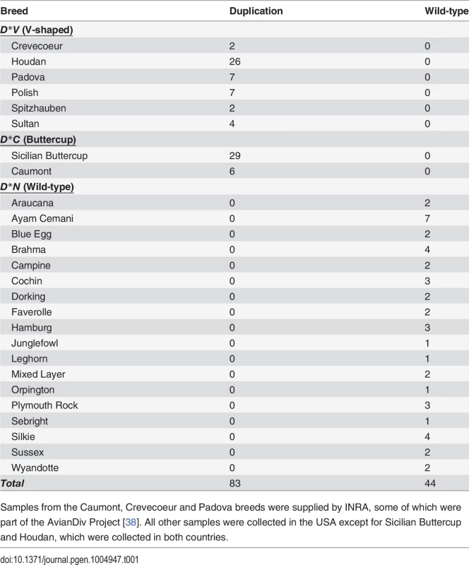 A PCR-based diagnostic test reveals complete association of a duplication junction point with the Duplex-comb phenotypes in chickens.