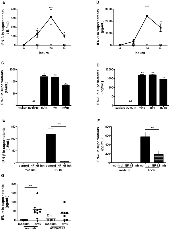 IFN-β and IFN-α are induced by rhinovirus infection of macrophages via NF-<i>κ</i>B-dependent mechanisms.