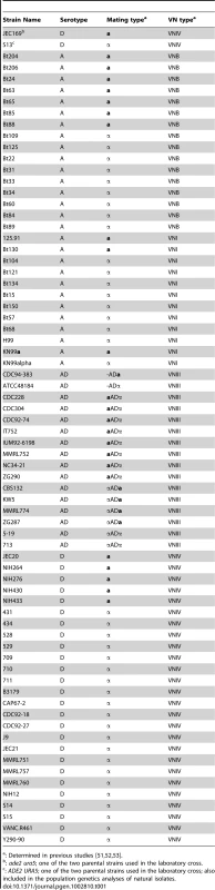 List of strains used in this study.