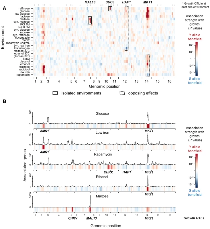 Genetic architecture of growth rate and gene expression in multiple environments.