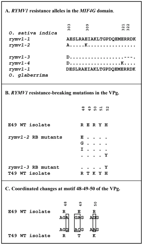 Genetic characteristics of the plant and virus material used in the study.