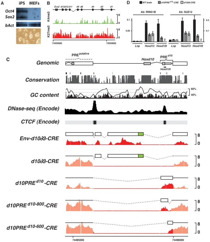 H3K27me3 profiles of transgenic constructs in iPS cells.