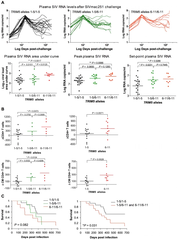 Association of the expression of groups of <i>TRIM5</i> alleles by rhesus monkeys with viral replication following SIVmac251 infection.