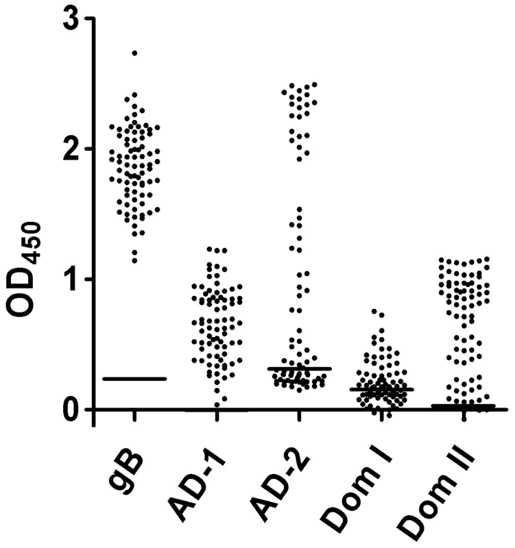 Recognition of the antigenic domains of gB by human sera.