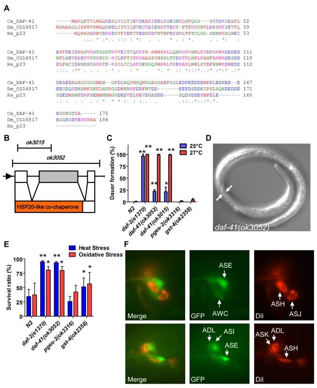 <i>daf-41</i>/ZC395.10 regulates dauer formation and stress resistance.