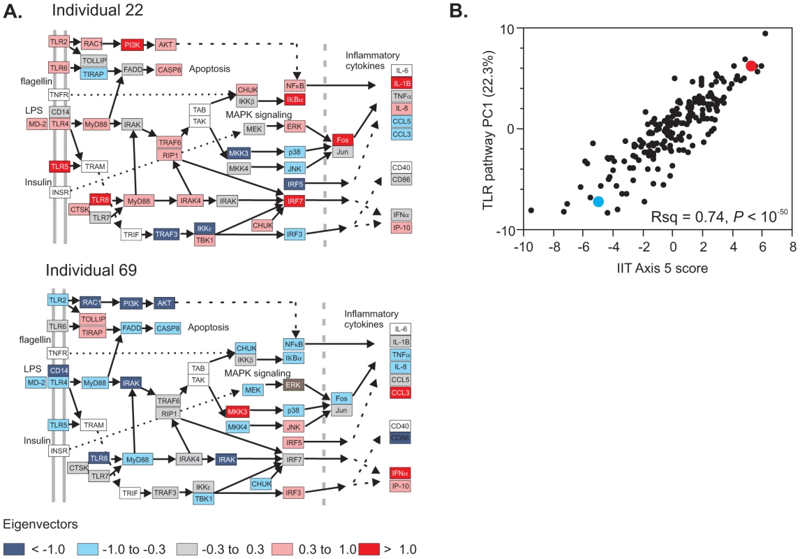 Pathway analysis of transcript abundance.
