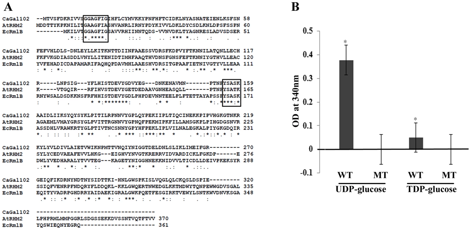 <i>GAL102</i> encodes a dTDP-glucose 4, 6-dehydratase.