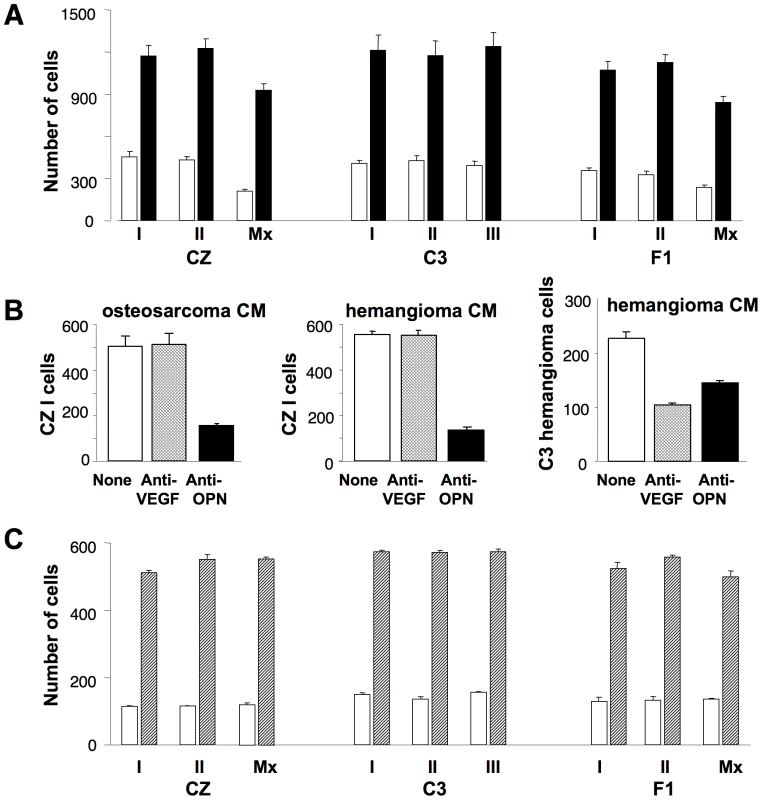 Osteopontin is the major chemoattractant inducing bone tumor cell migration.