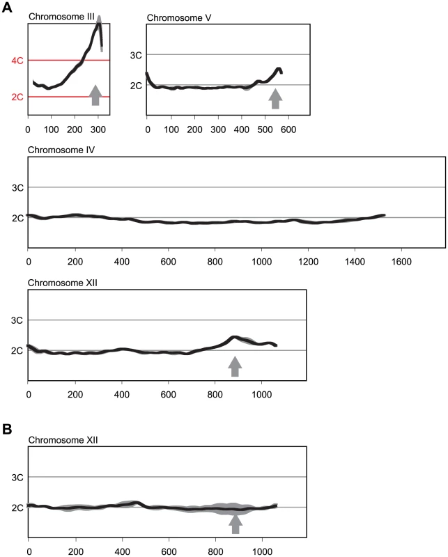 Multiple sites preferentially re-replicate when re-replication controls are deregulated in the <i>MC2Ao</i> strain background.