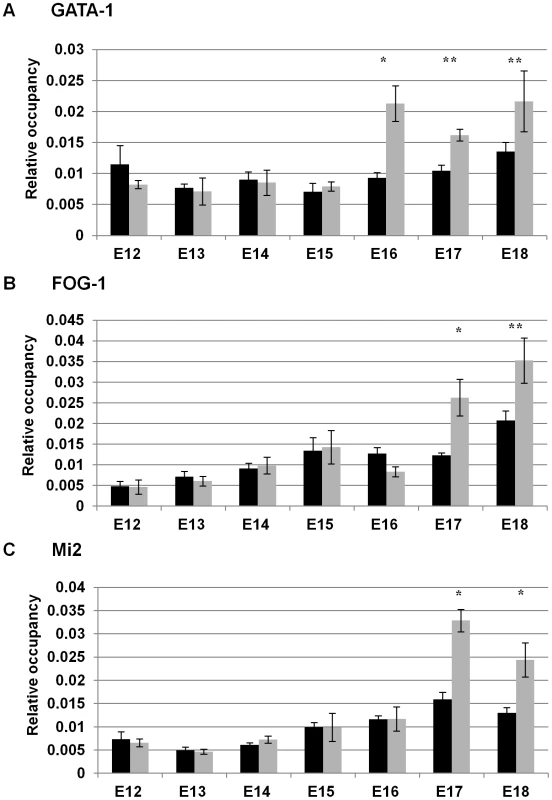 Temporal recruitment of the GATA-1-FOG1-Mi2 complex to the −566 <sup>A</sup>γ-globin GATA motif in wild-type β-YAC.