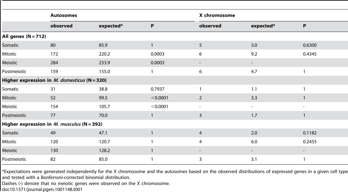 Expression differences between <i>M. domesticus</i> and <i>M. musculus</i> across spermatogenic cell types.