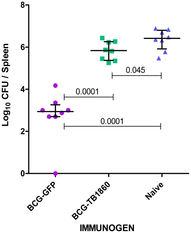 MTB Rv1860 abrogates the protective efficacy of BCG.