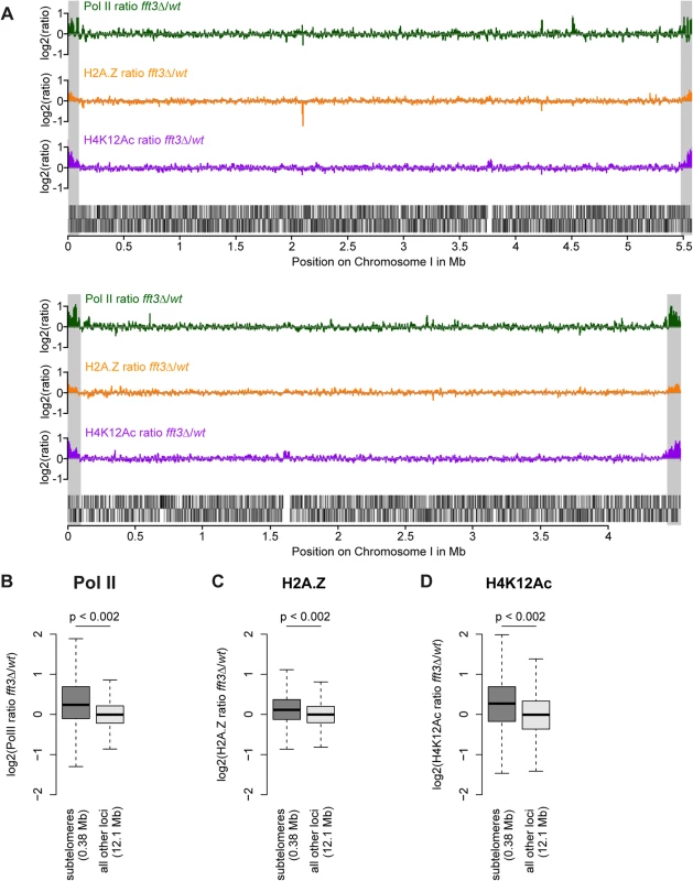 Chromatin changes in <i>fft3</i>Δ cells are pronounced at the subtelomeres of chromosomes I and II.