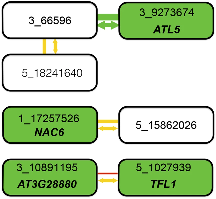 Summary of combined statistical and functional support for loci underlying root length.