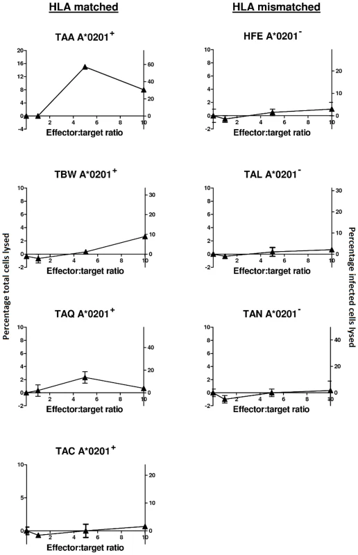 Naturally infected cells from ACs and HAM/TSP patients are susceptible to lysis by an HBZ-specific A*0201-restricted clone.