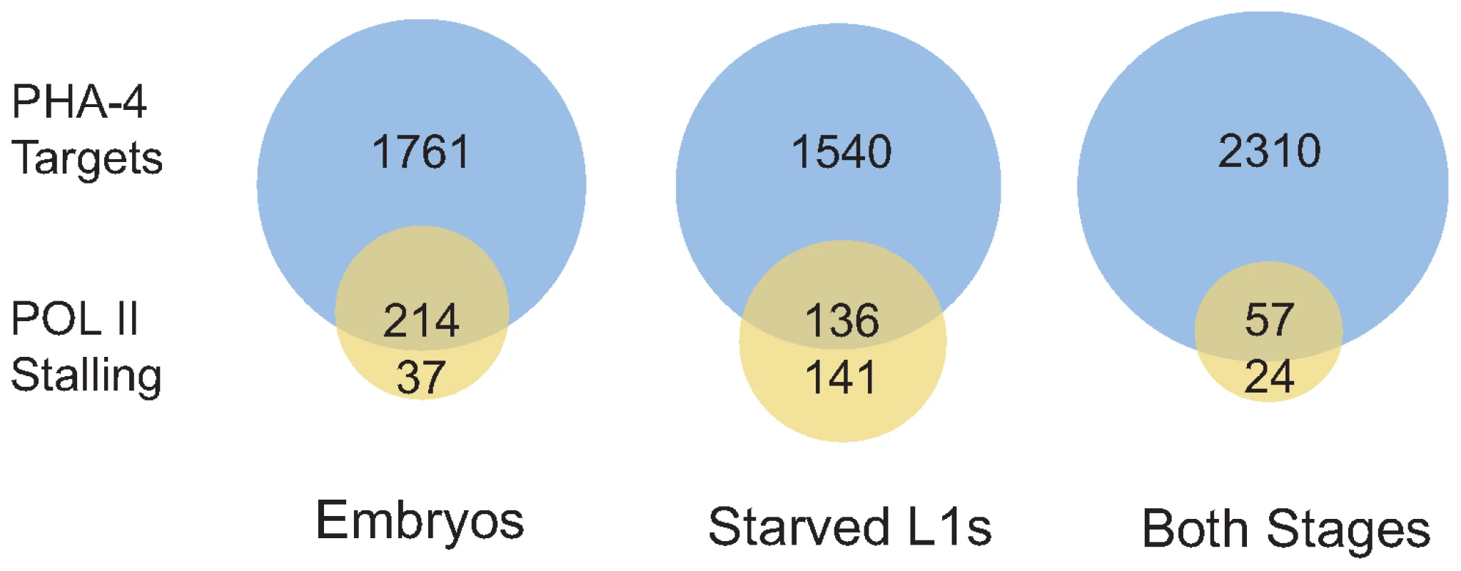 Genes displaying RNA Pol II stalling are preferentially bound by PHA-4.
