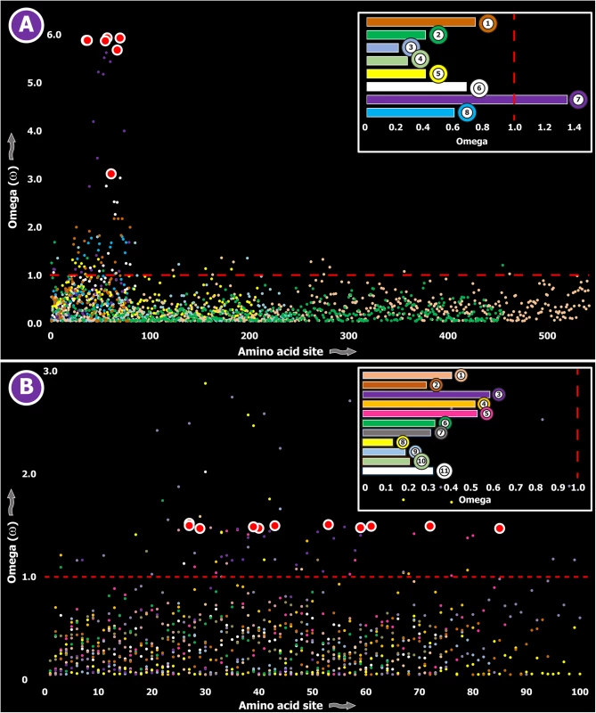 Molecular evolution of venom in cnidarians (A) and scorpions (B).