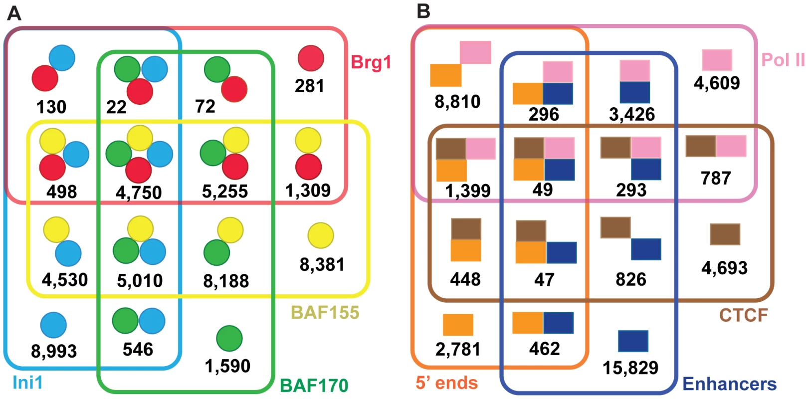 Venn diagrams showing overlaps for the SWI/SNF union target regions.
