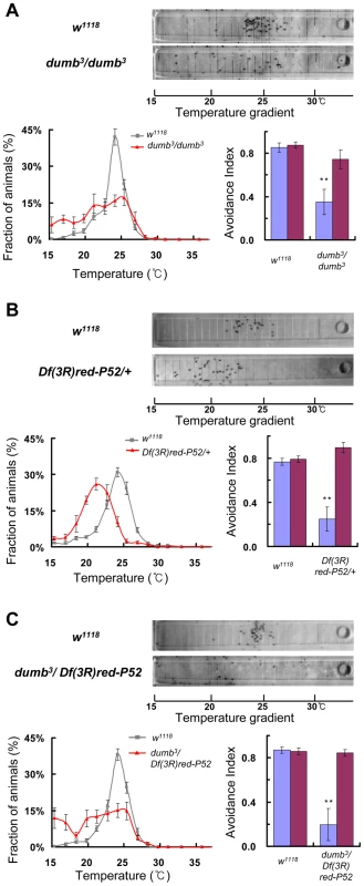 Dopamine receptor is required for TPB.