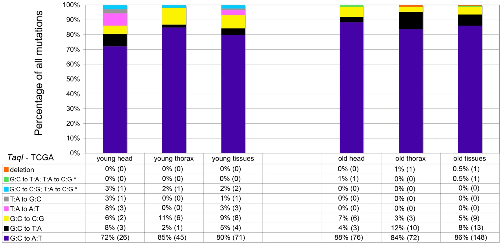 GC∶TA transversions account for only a small percentage of mtDNA mutations.