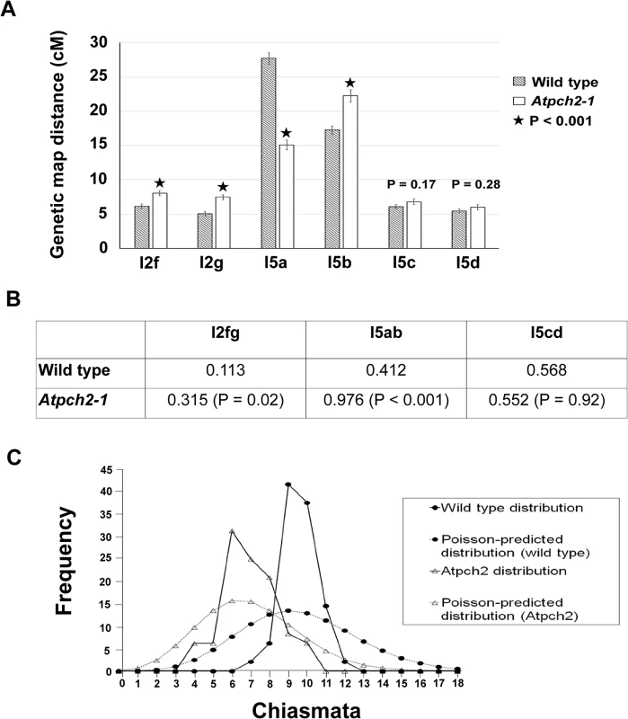 Recombination frequency and chiasma distribution in <i>Atpch2-1</i>.