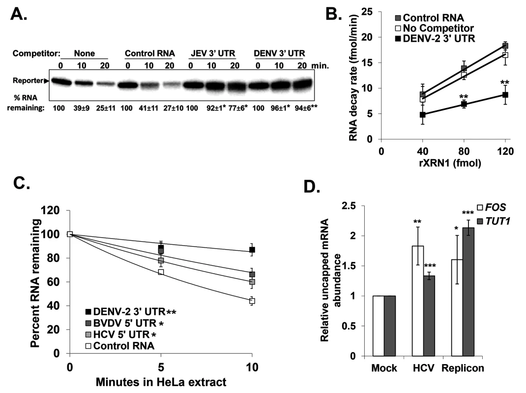 RNAs containing the 3’ or 5’ UTR of various members of the <i>Flaviviridae</i> are reversible inhibitors of XRN1 activity.
