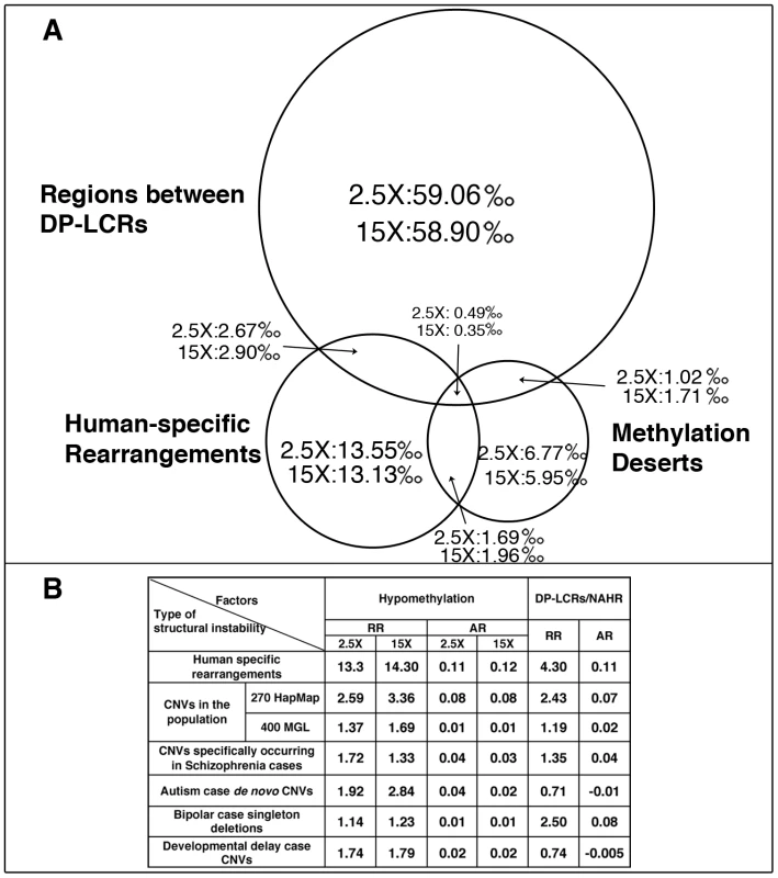 Statistical risk analysis of structural mutability due to hypomethylation and DP–LCRs.