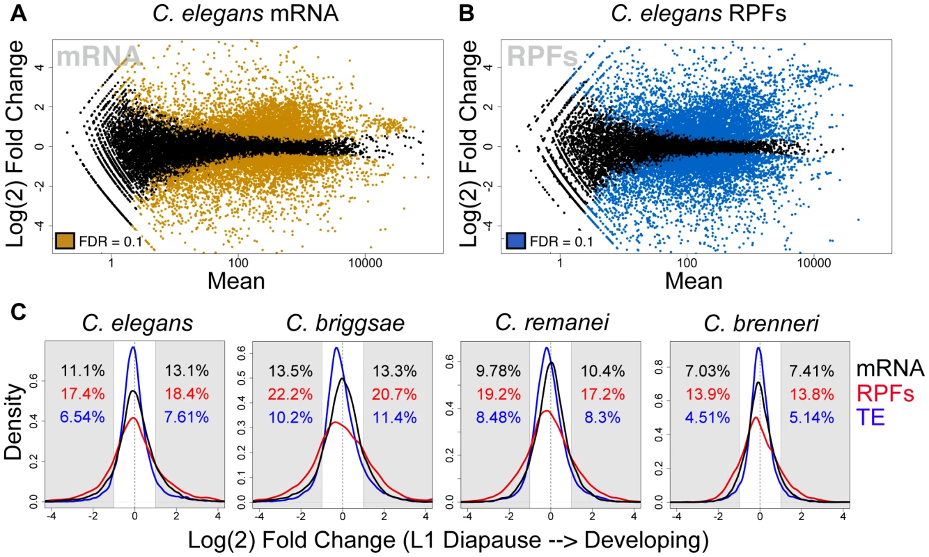 The transcriptome and translatome are substantially remodeled upon exiting diapause.