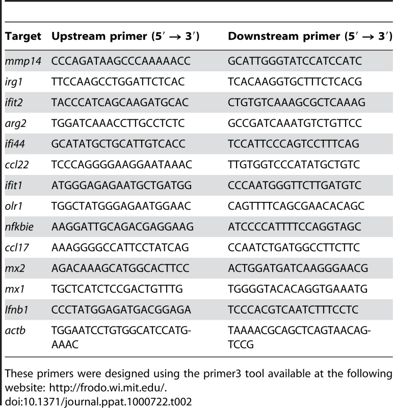 Primers used.
