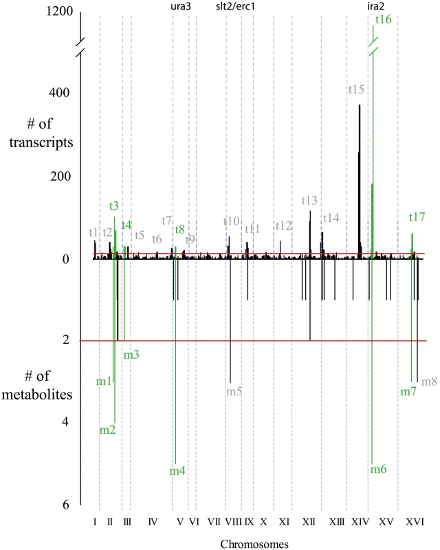 Similarities between metabolite and transcript linkage distributions.