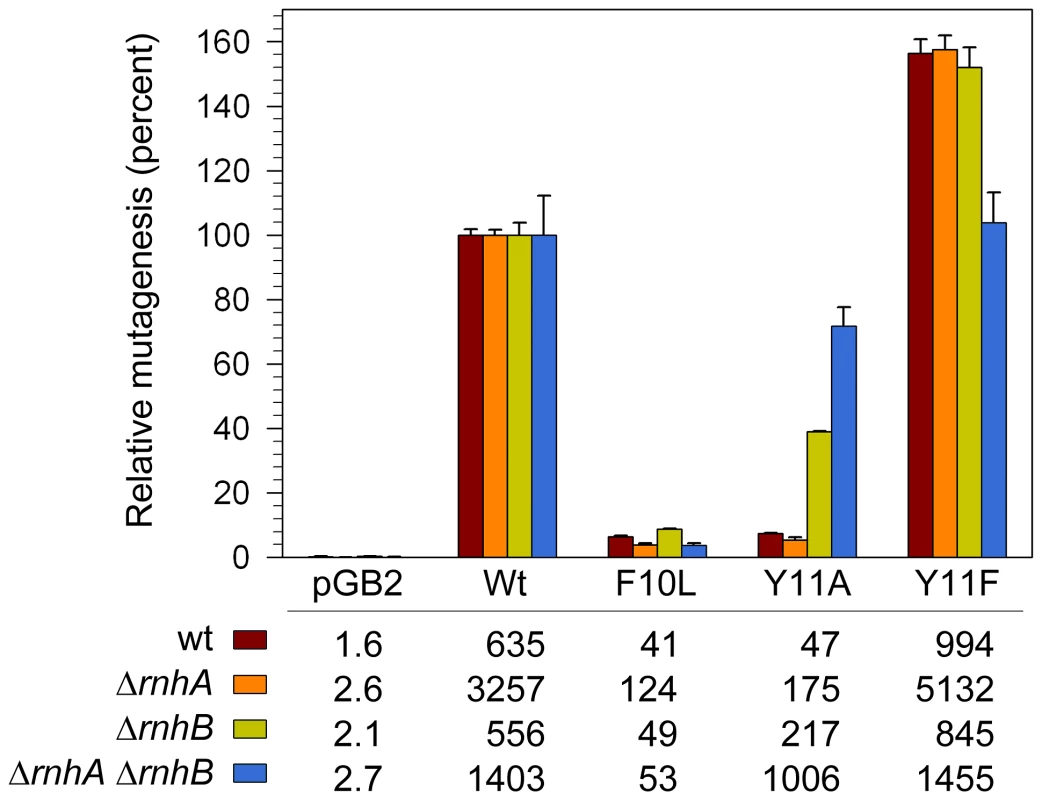Effect of Δ<i>rnhA</i> and Δ<i>rnhB</i> on spontaneous mutagenesis in <i>recA730 lexA</i>(Def) Δ<i>umuDC</i> Δ<i>dinB</i> strains expressing pol V variants.