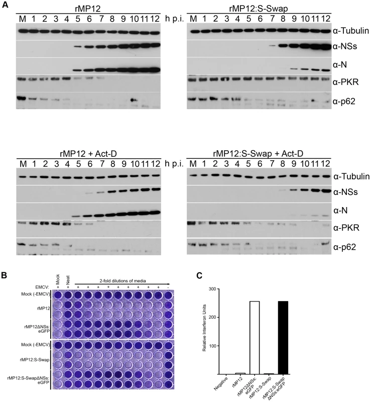 Effect of RVFV NSs on host cell factors.