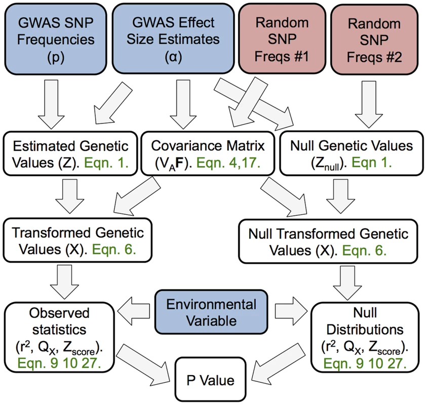 A schematic representation of the flow of our method.
