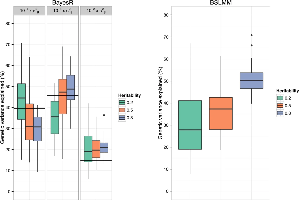 Genetic architecture inferred using BayesR and BSLMM in simulated data.