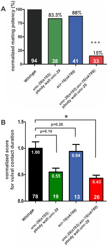 Ionotropic ACh receptors are required for sustained vulval contact.
