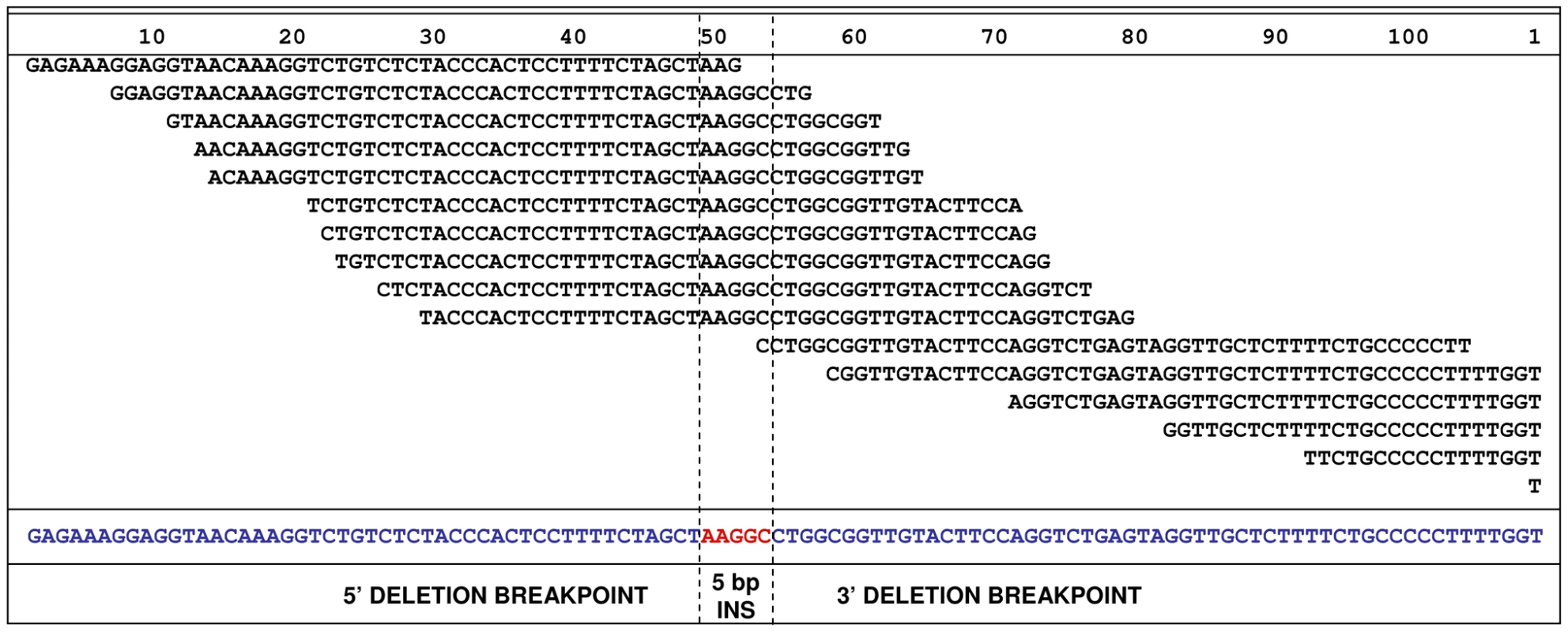 <i>De novo</i> assembly of reads, from a single EF case, aligned across the deletion.