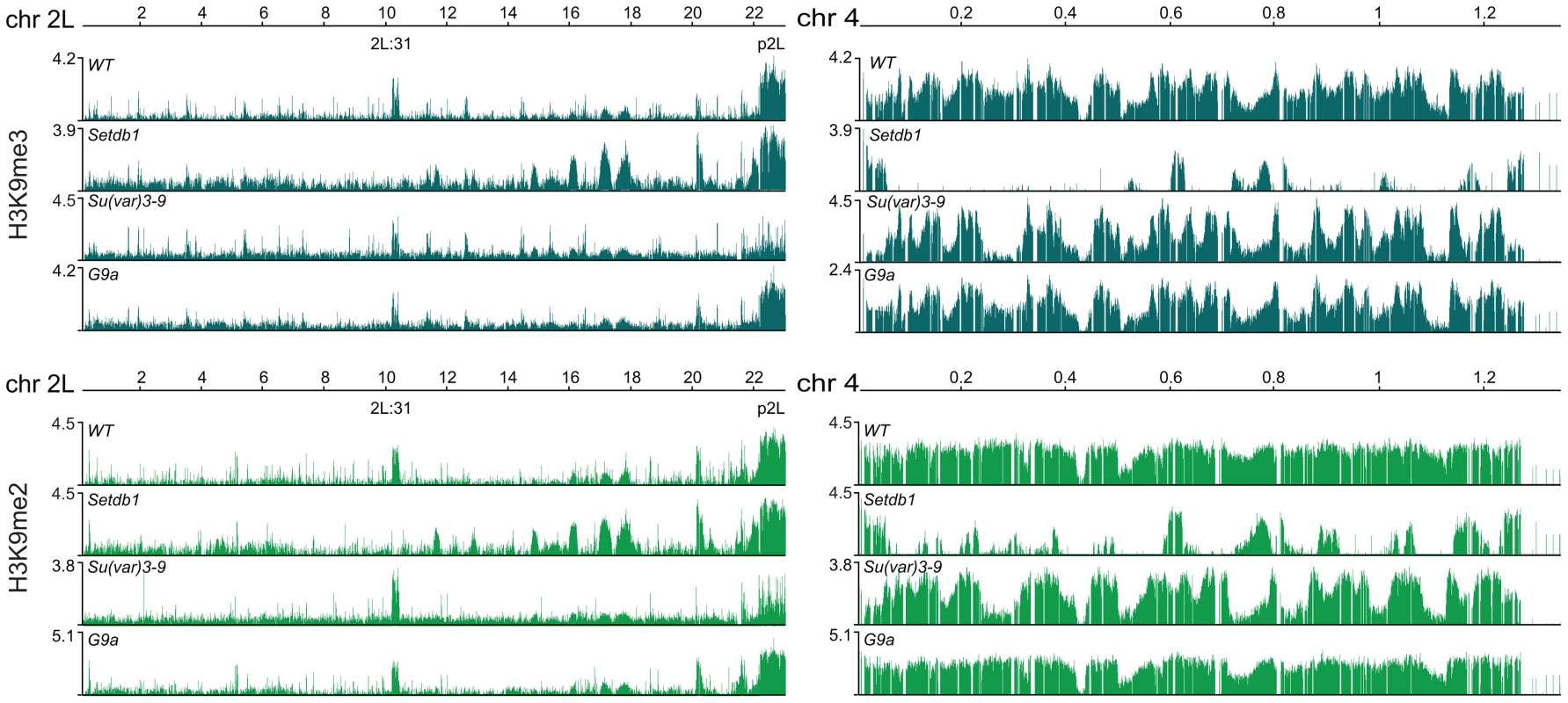 H3K9 methylation profiles in HKMT mutants.