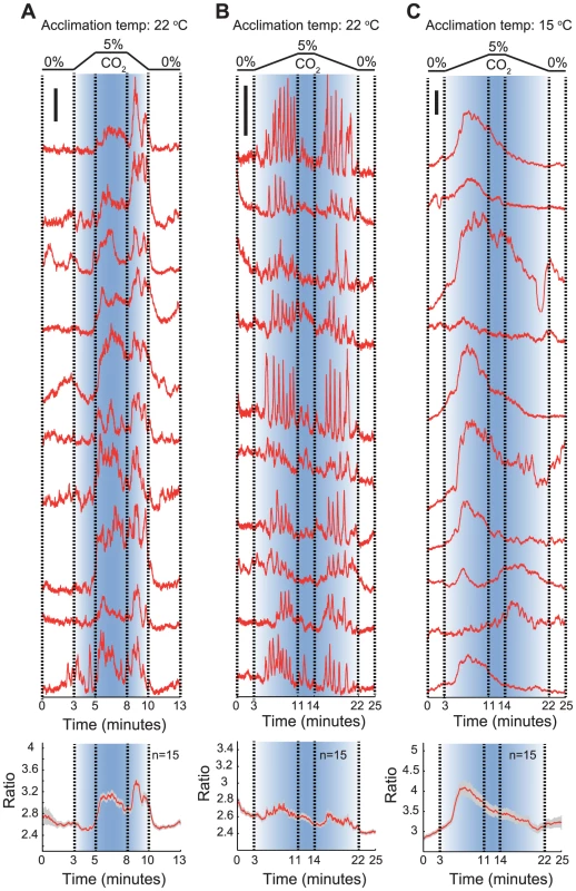 Shallow and steep CO<sub>2</sub> gradients evoke qualitatively different Ca<sup>2+</sup> responses in AFD.