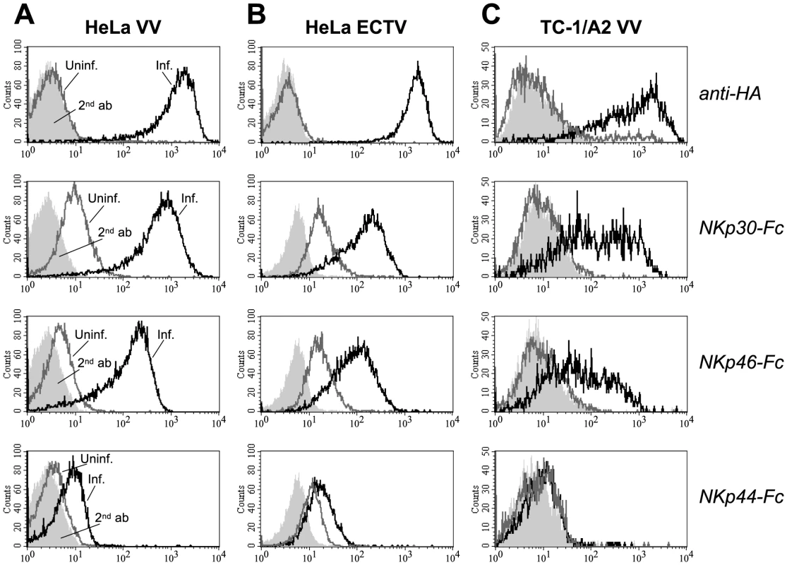 Infection with vaccinia (VV) and ectromelia virus (ECTV) induces ligand structures for NKp30 and NKp46.