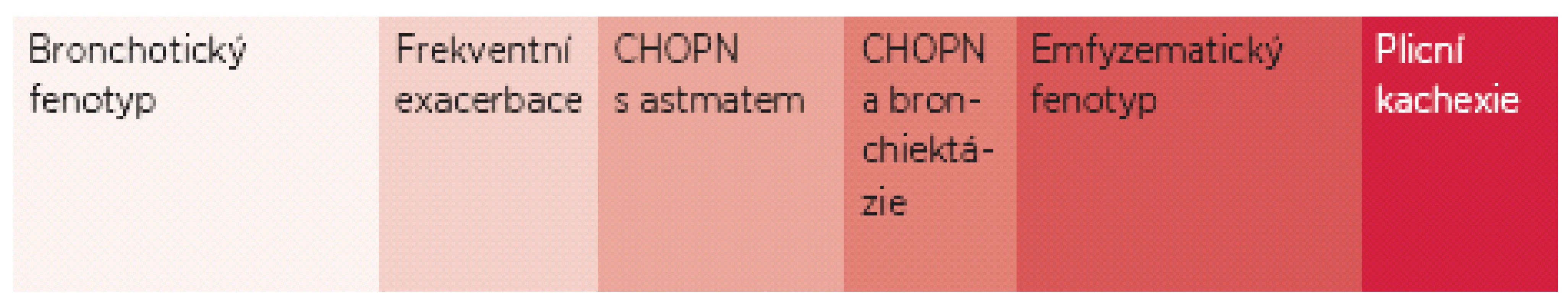 Přehled základních fenotypů chronické obstrukční plicní nemoci (CHOPN) Velikost obdélníků označujících fenotypy do jisté míry odpovídá jejich relativní četnosti v populaci nemocných, v reálné praxi se navíc některé fenotypy překrývají (například emfyzematický a kachektický nebo bronchitický a exacerbační). Ve specializovaných centrech se můžeme setkat i s dalšími typy postižení: s kombinací CHOPN a syndromu spánkové apnoe, s překryvem plicní fibrózy a emfyzému a s nemocnými s extrémní rychlostí poklesu plicních funkcí (tyto však po konsenzuální domluvě, nebyly do českého doporučeného postupu zařazeny).
