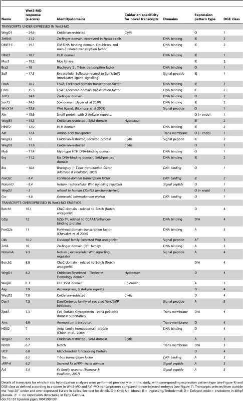 Characteristics of all transcripts analyzed in detail in this study.