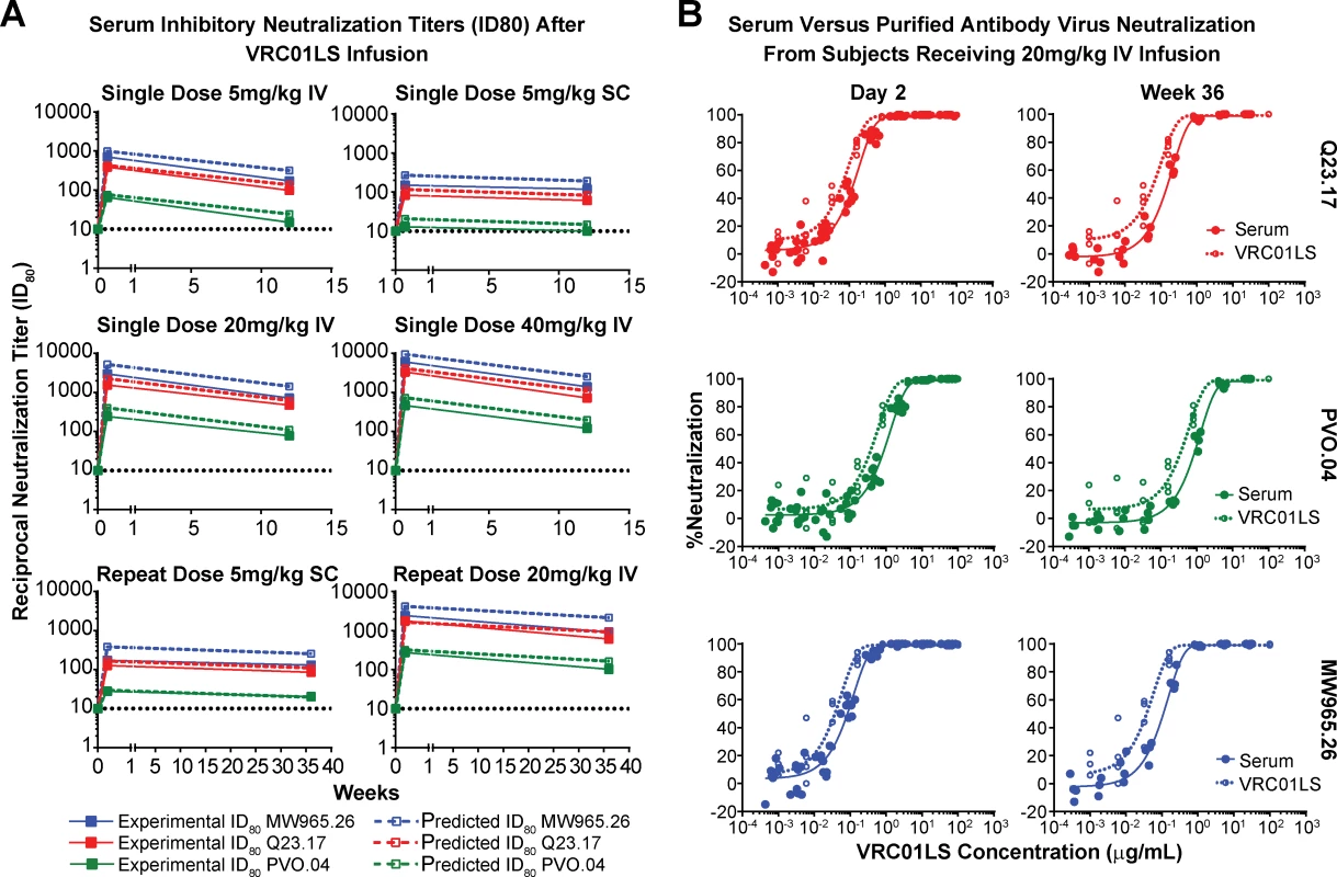 Neutralizing ability of VRC01LS is maintained in serum after infusion.