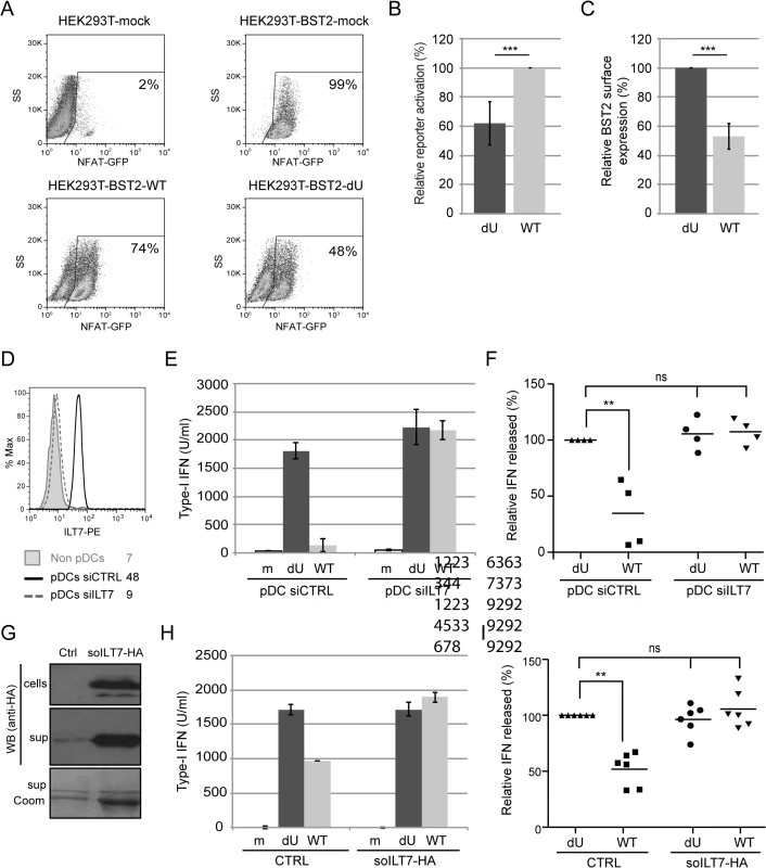Vpu-mediated control of IFN-I production by pDCs involves engagement and activation of ILT7 by BST2.